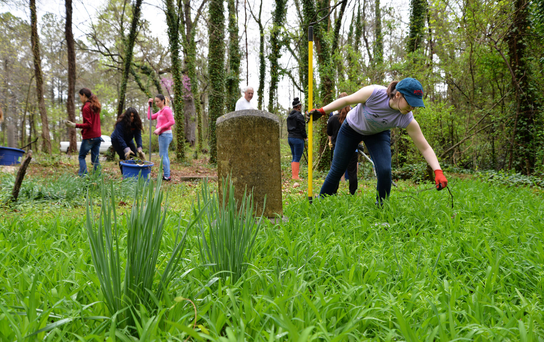 Madison Price, a junior sociology major, picks up sticks and debris from an overgrown cemetery plot at East End Cemetery.