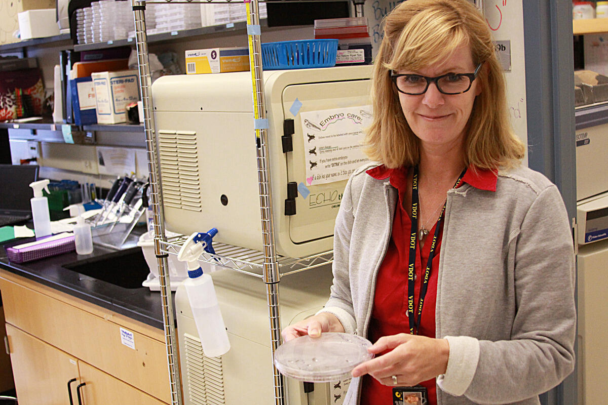 Amanda Dickinson, Ph.D., holds a dish of frog embryos.