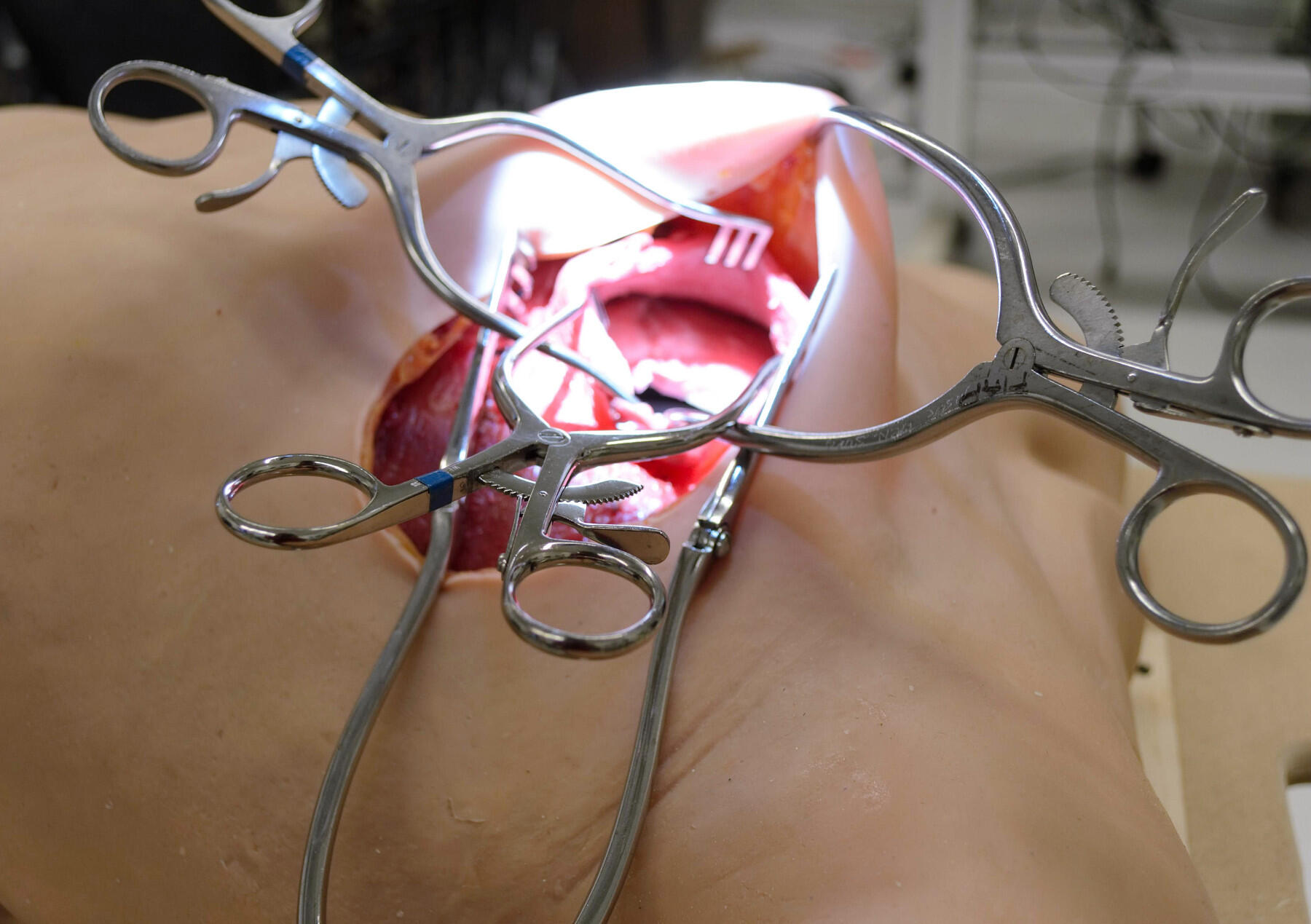Simulated chest cavity within the Advanced Microsurgery Trainer.