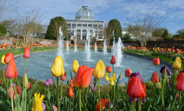 Lewis Ginter Botanical Garden.