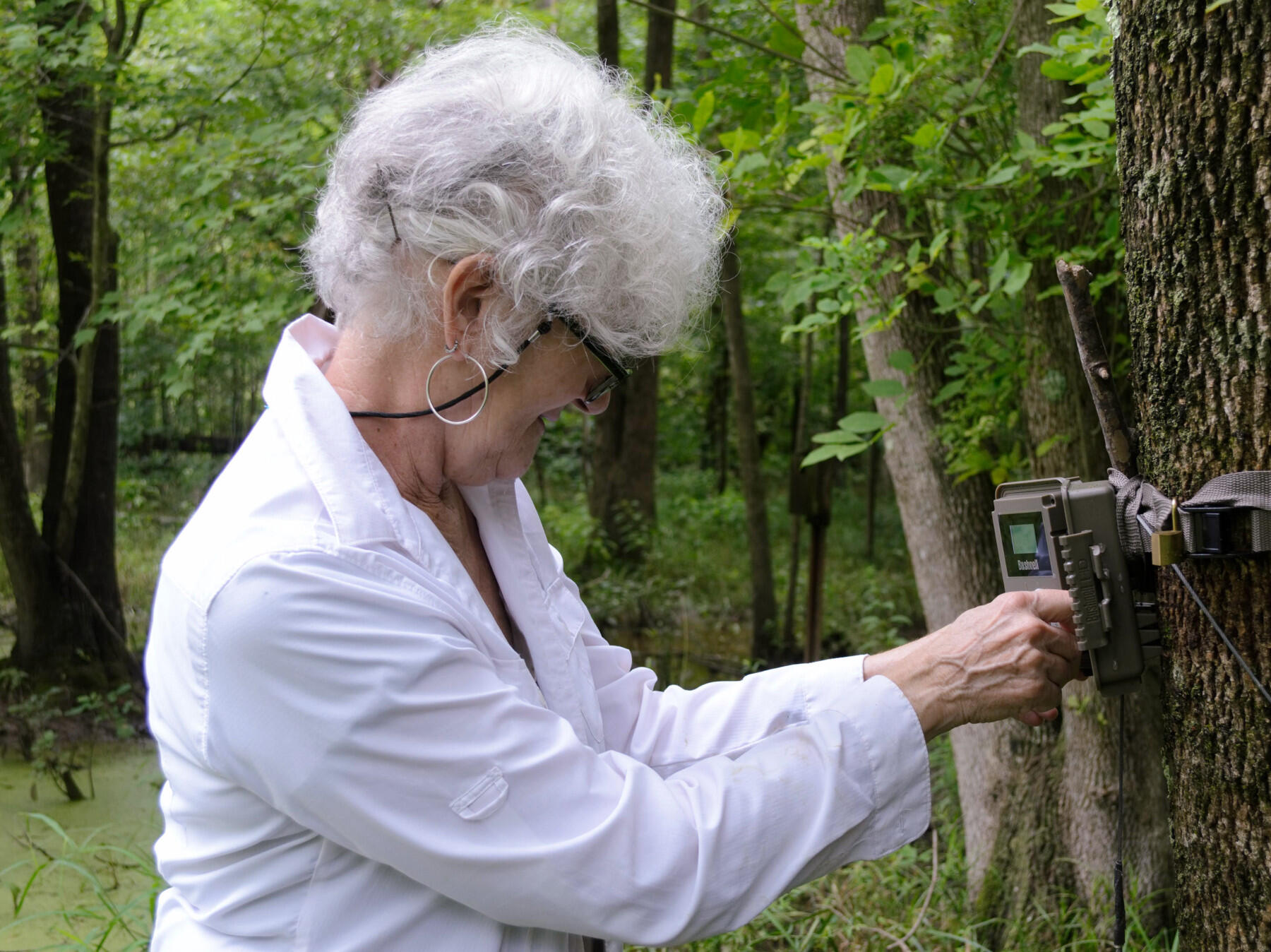 Anne Wright removes a memory card from a wildlife camera in a remote area of the James River Parks System. (Photo by Leah Small, University Public Affairs)