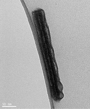 A transmission electron micrograph of a chemically self-assembled nanowire resistor that has been released from its host for imaging. Micrograph courtesy of Sridhar Patibandla and Shivkumar Ramanathan, both graduate students in the VCU Department of Electrical and Computer Engineering.