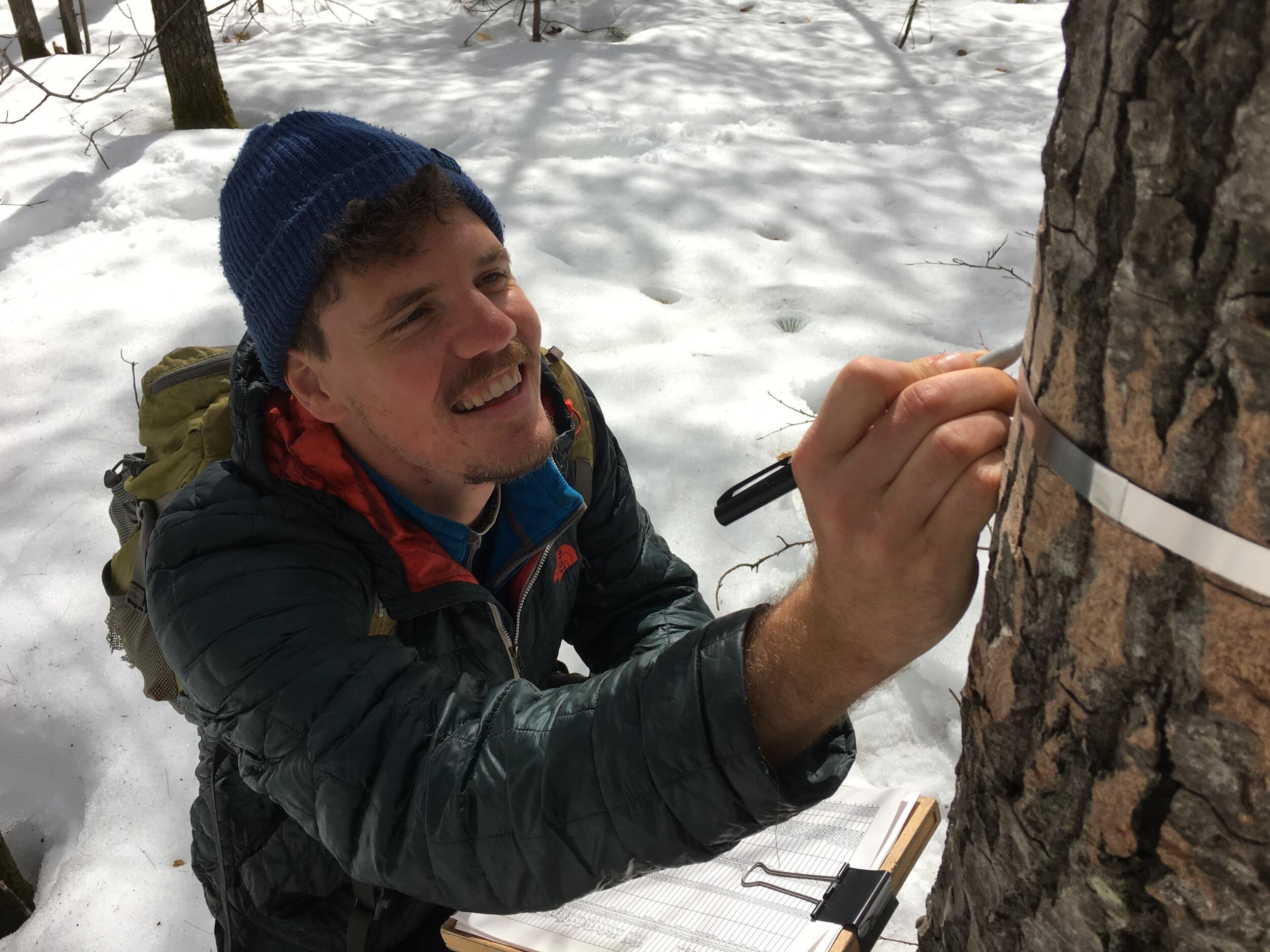 Maxim Grigri, who received his master’s degree from VCU this year, measures a tree's diameter from a permanently affixed metal ruler. This allows the researchers to gauge how fast trees are growing and how much carbon they are investing in wood. (Courtesy photo)
