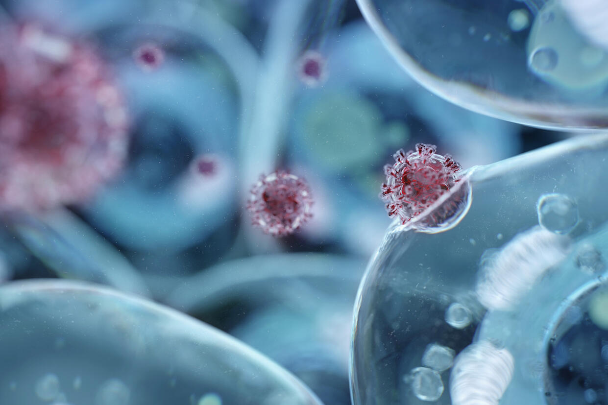 A digital conceptual rendering of a coronavirus particle penetrating a human cell.