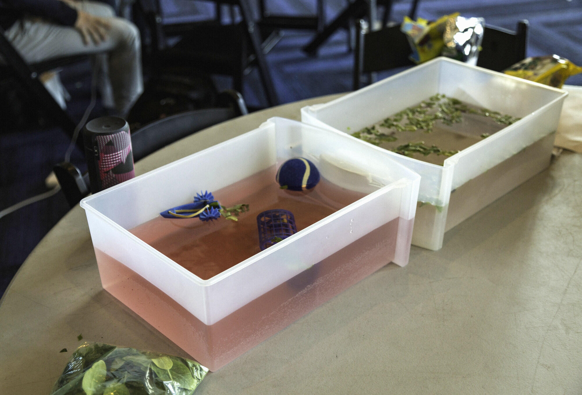 Multidisciplinary teams had 24 hours to learn from mentors, brainstorm, and generate solutions to some of the world’s most pressing problems at EarthHacks. Depending upon the problem, proposed solutions could involve any type of material, including the water-filled bins seen here.