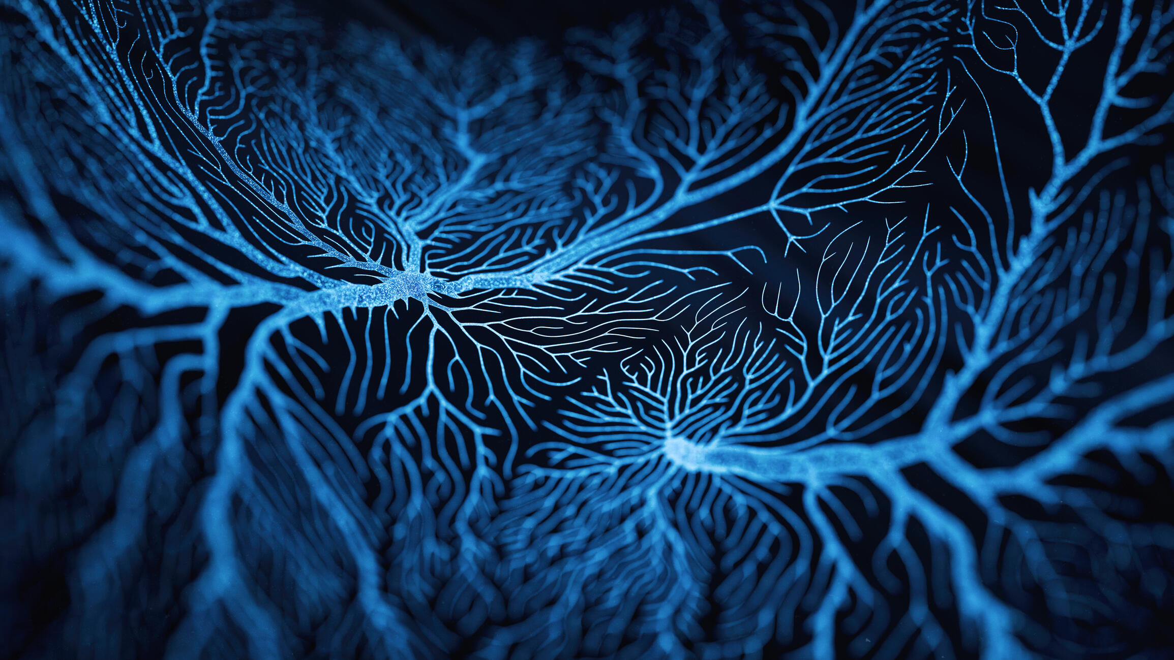 An illustration of brain cells. 