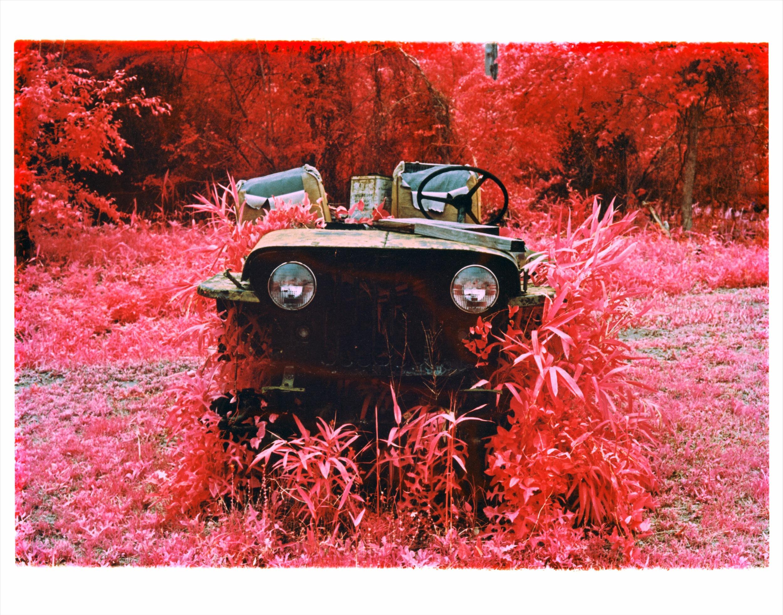 A photo of a rusted jeep in the middle of a red field with plants growing over it. 