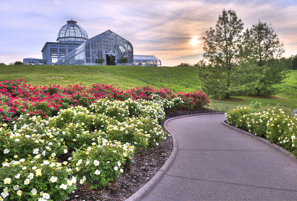 VCU Health will host a series of events dedicated to heart health at Lewis Ginter Botanical Garden in February. (Photo courtesy of Lewis Ginter Botanical Garden)