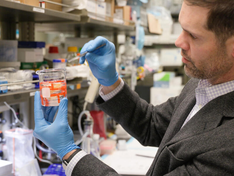 A man wearing blue gloves works in a lab.