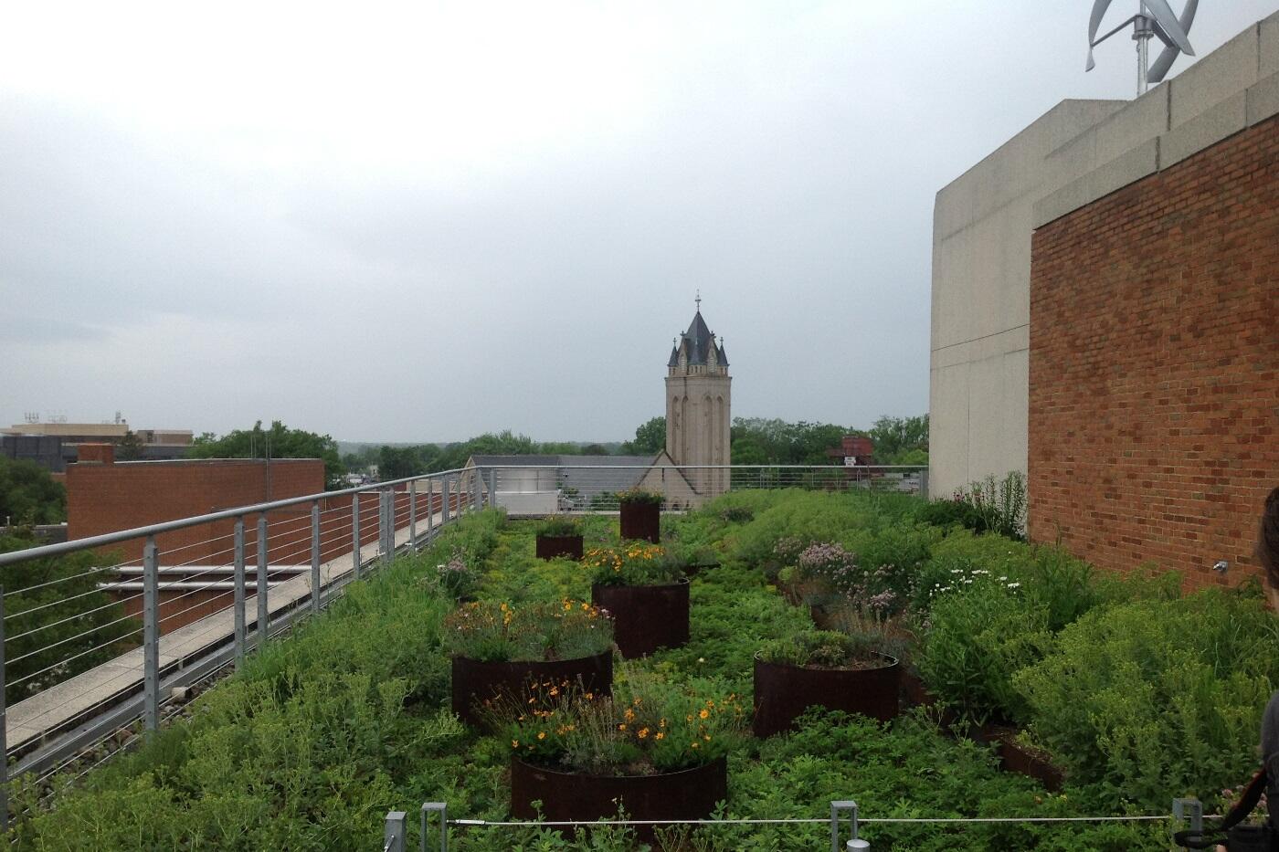 This rooftop garden acts as an urban oasis for insects, birds and stressed undergraduates. The building’s wind turbine can partially be seen in the top right.