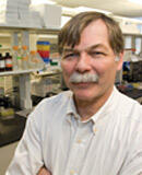 Norbert F. Voelkel, M.D.