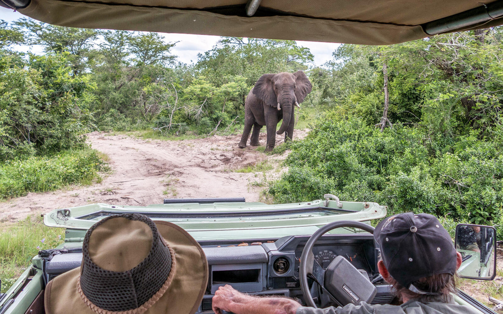 Summits to Seas students spot an elephant at the Tembe Elephant Park in Maputaland, KwaZulu-Natal, South Africa.
<br>Photo by James Vonesh.