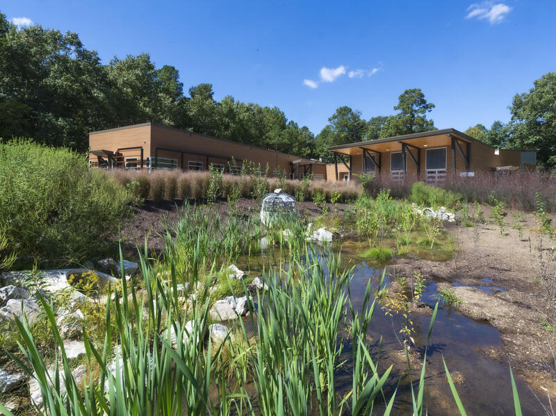 Photo in the foreground of a water feature with plants and standing water. In the background is an L-shaped building.