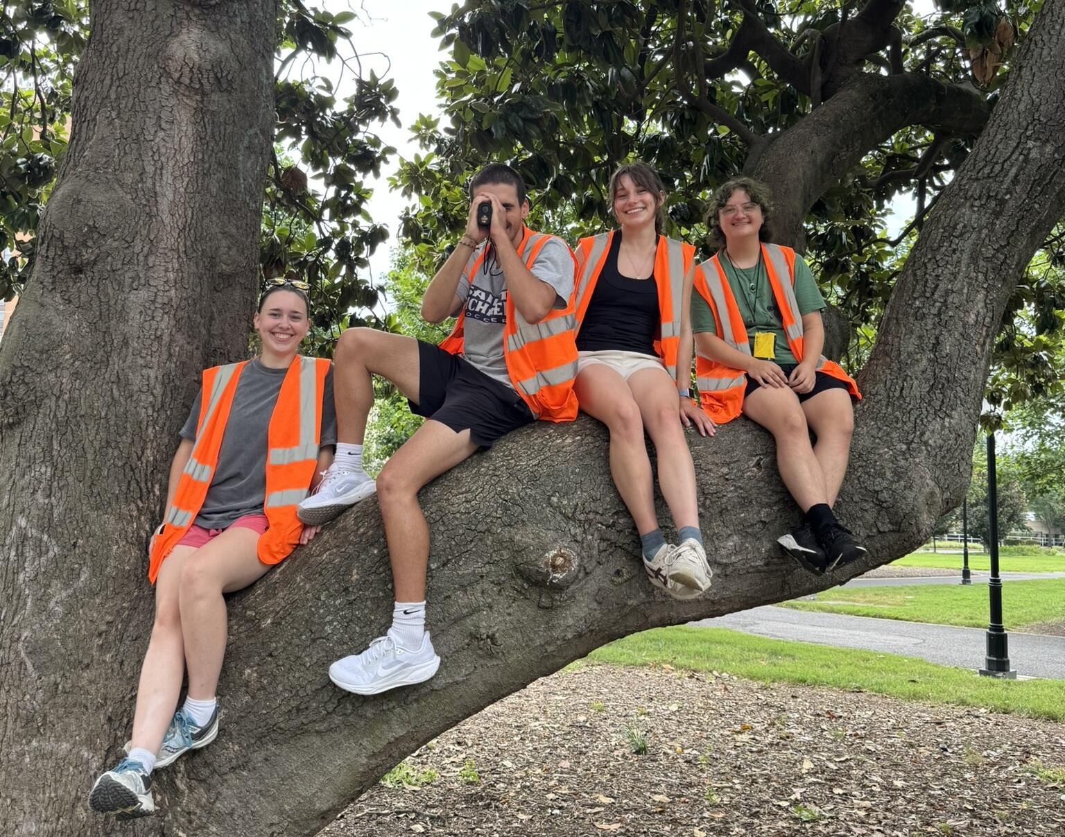 A photo of four students sitting on a tree branch.