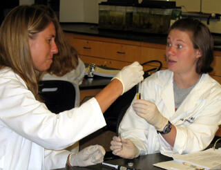 Oakwood High School biology and forensic science teacher Melinda Wargacki, from Dayton, Ohio, (left) and Nicole Southards, a chemistry teacher at Green Hope High School in Cary, N.C., perform lab work during VCU’s “DNA, Drugs and the Law” Summer Workshop Series. This is Wargacki’s second year for attending a summer workshop course. Photo by Mike Porter/VCU Office of University News Services
