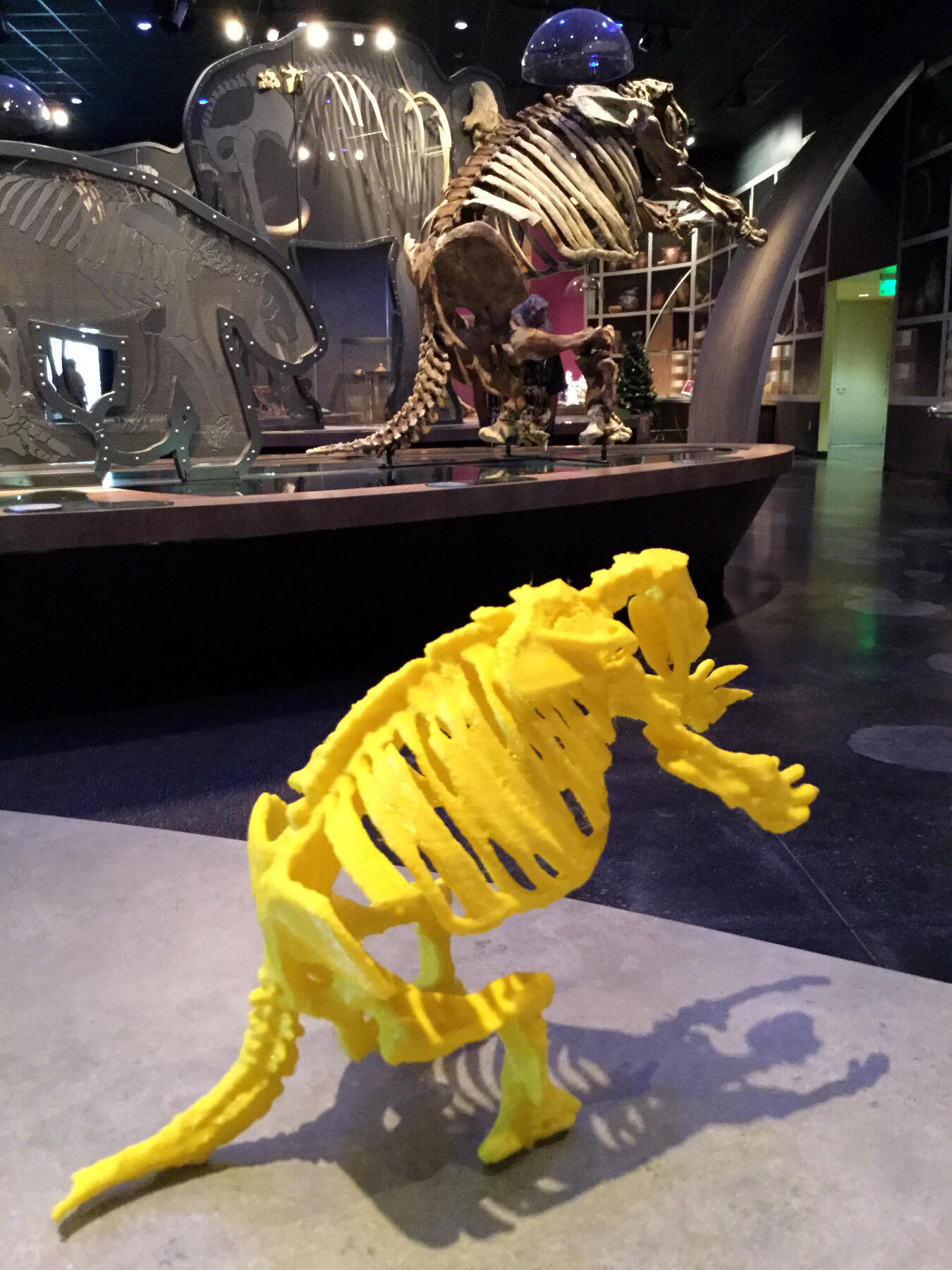 This 3-D printed replica of a giant ground sloth was created by VCU's Virtual Curation Laboratory by scanning the original at the Western Science Center in California.
