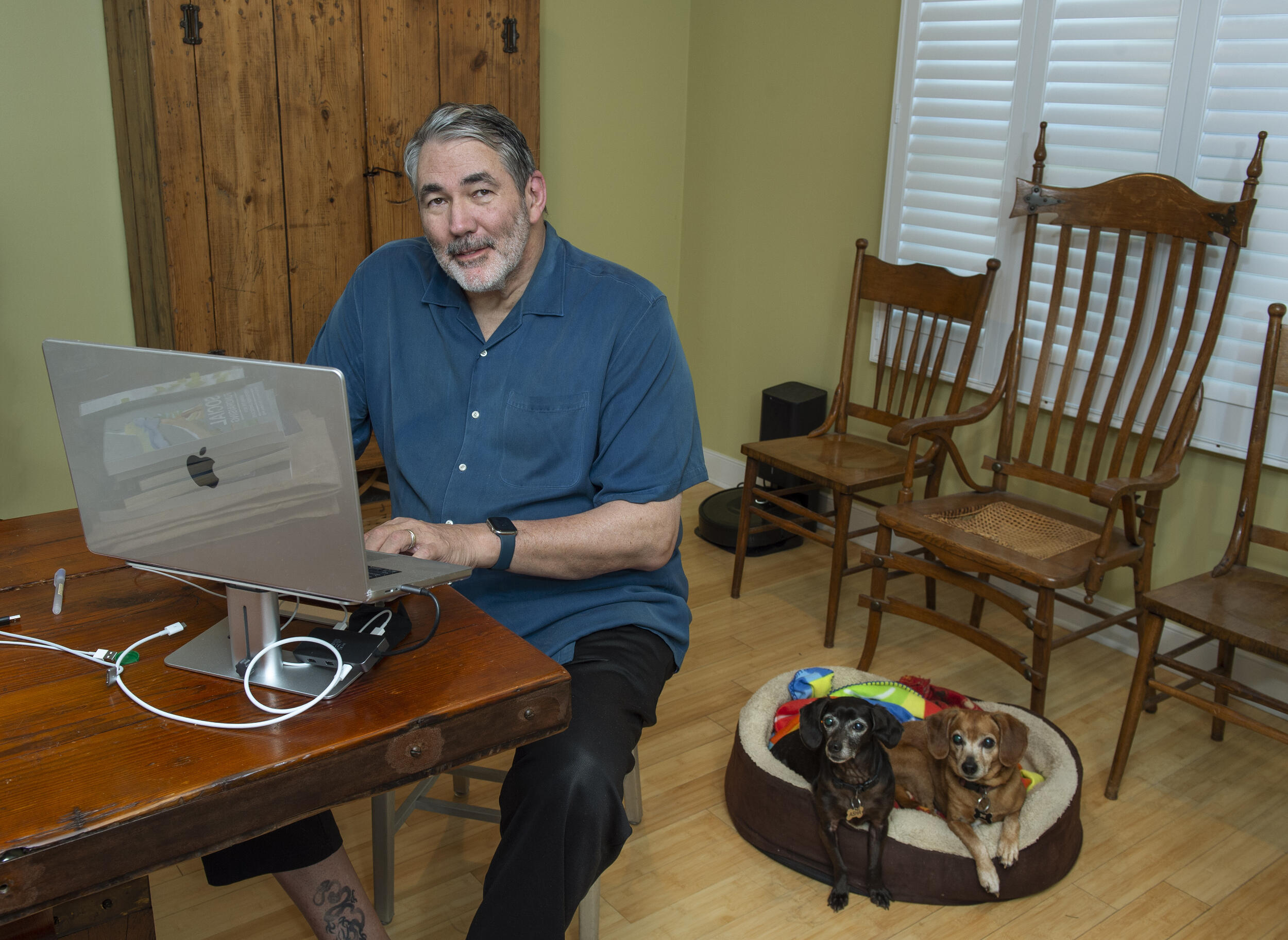 A man sitting at at a table in front of a laptop on a stand. next two him two small dogs are laying in a dog bed. 