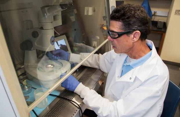 Michael Peters, Ph.D., is unlocking the molecular origins of Alzheimer's disease.