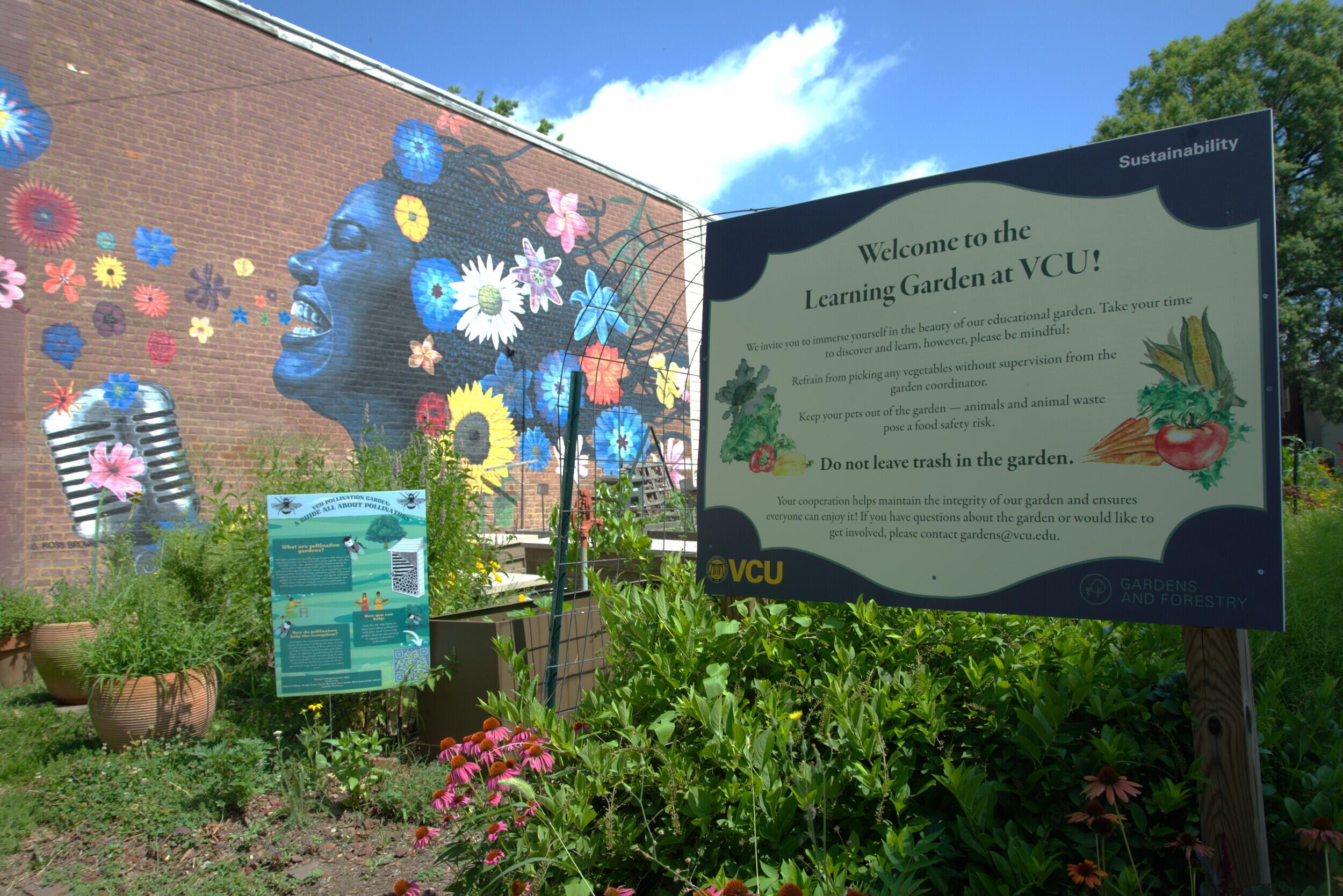 A photo of a blooming garden. 