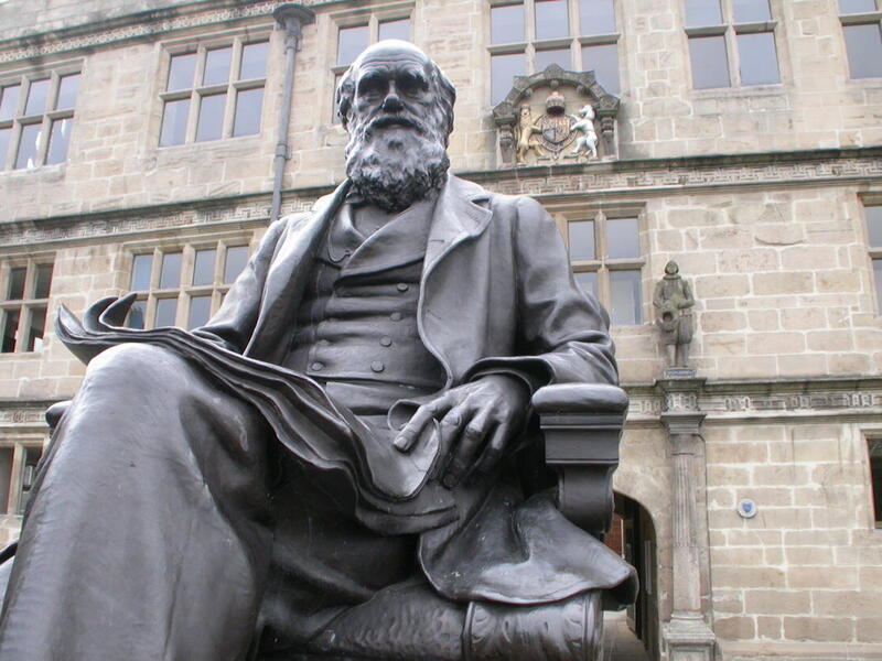 Statue of Charles Darwin outside Shrewsbury Library in the United Kingdom. (Getty Images)