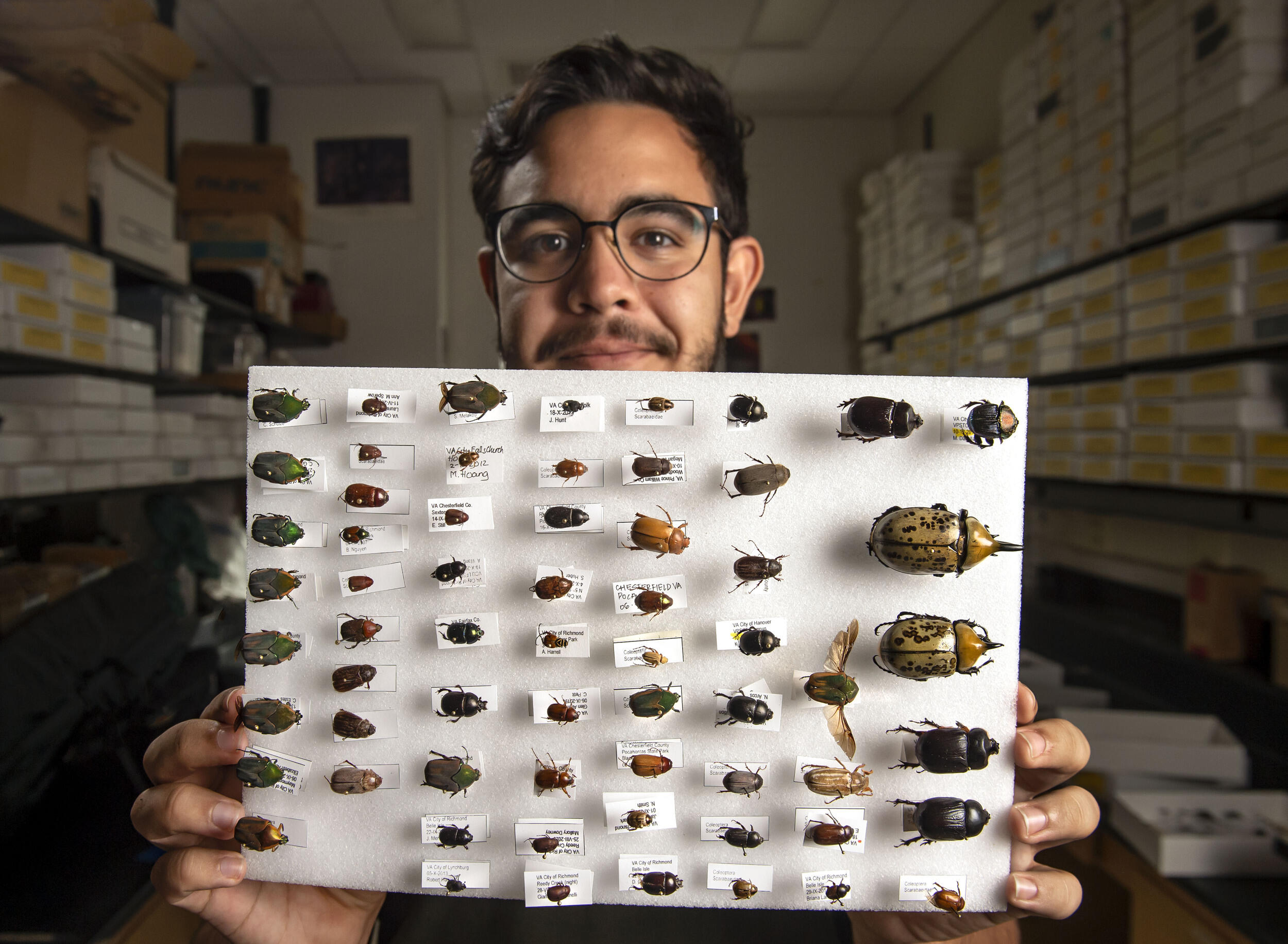 A man holding a board covered in Beatle specimen 