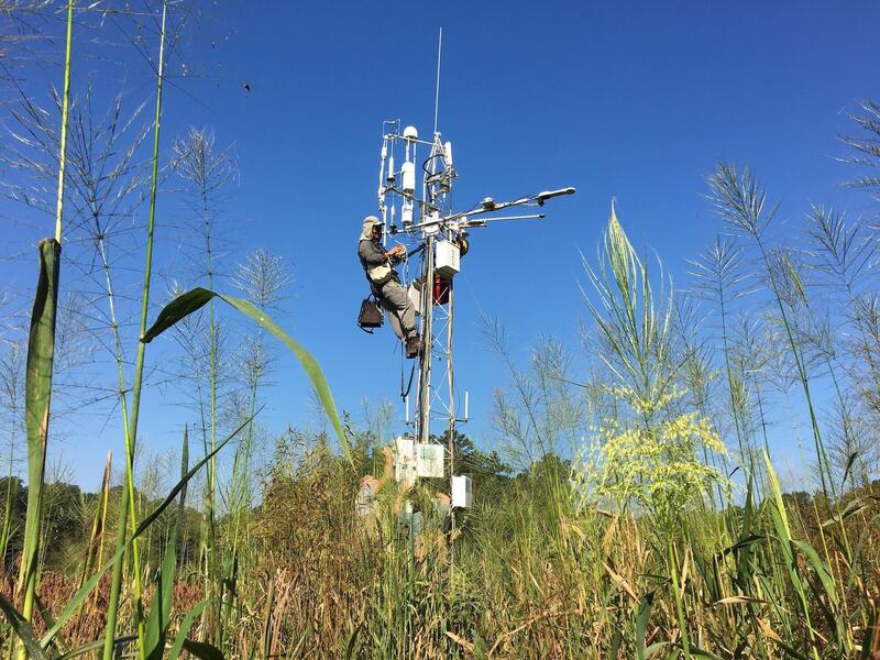 Stephen Chan of Ameriflux conducts a site evaluation of a tower that gathers greenhouse gas data at VCU Rice Rivers Center. (Contributed photo)