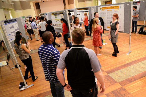 Students presenting at a Research Weeks undergraduate poster symposium.
