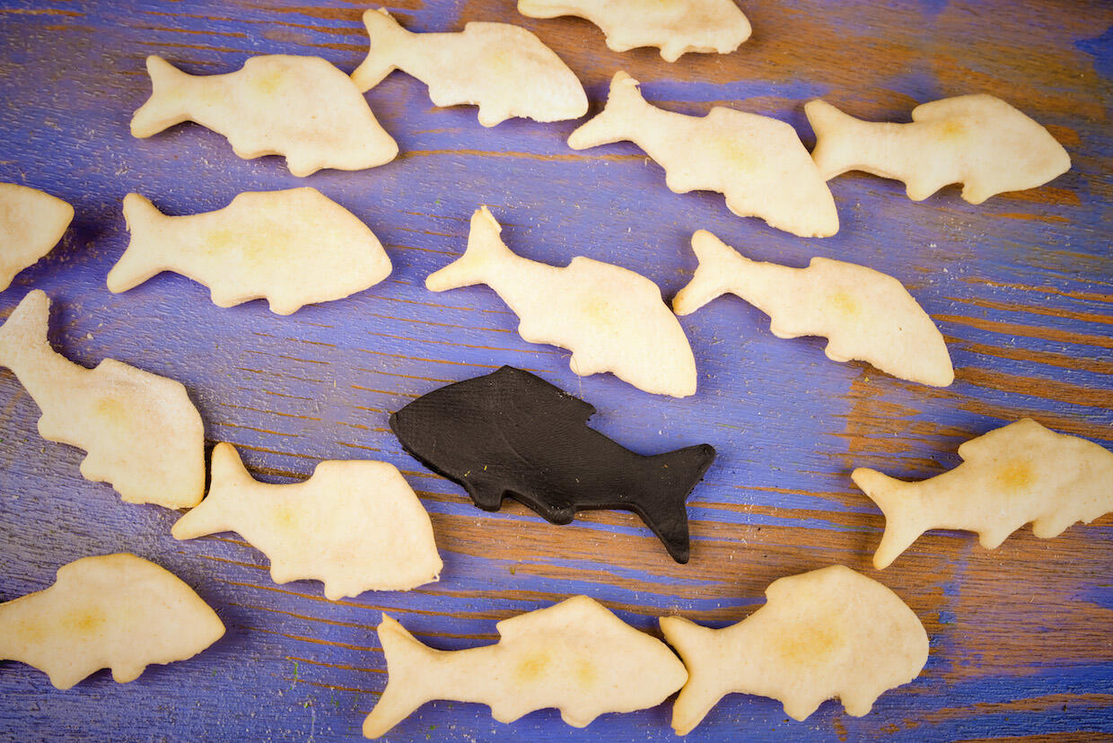 Cookies shaped like fish are all light in color and facing right, except for one fish that is dark in color and facing left.