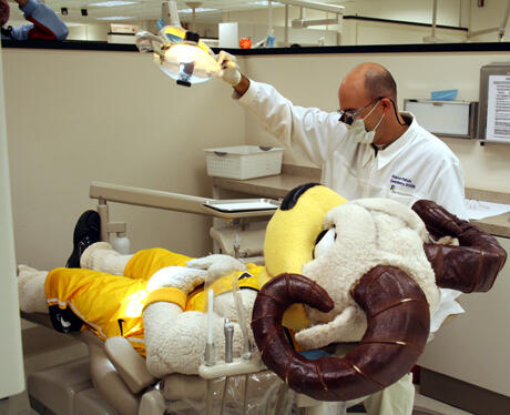 Photo by Martha Bushong, VCU School of Dentistry