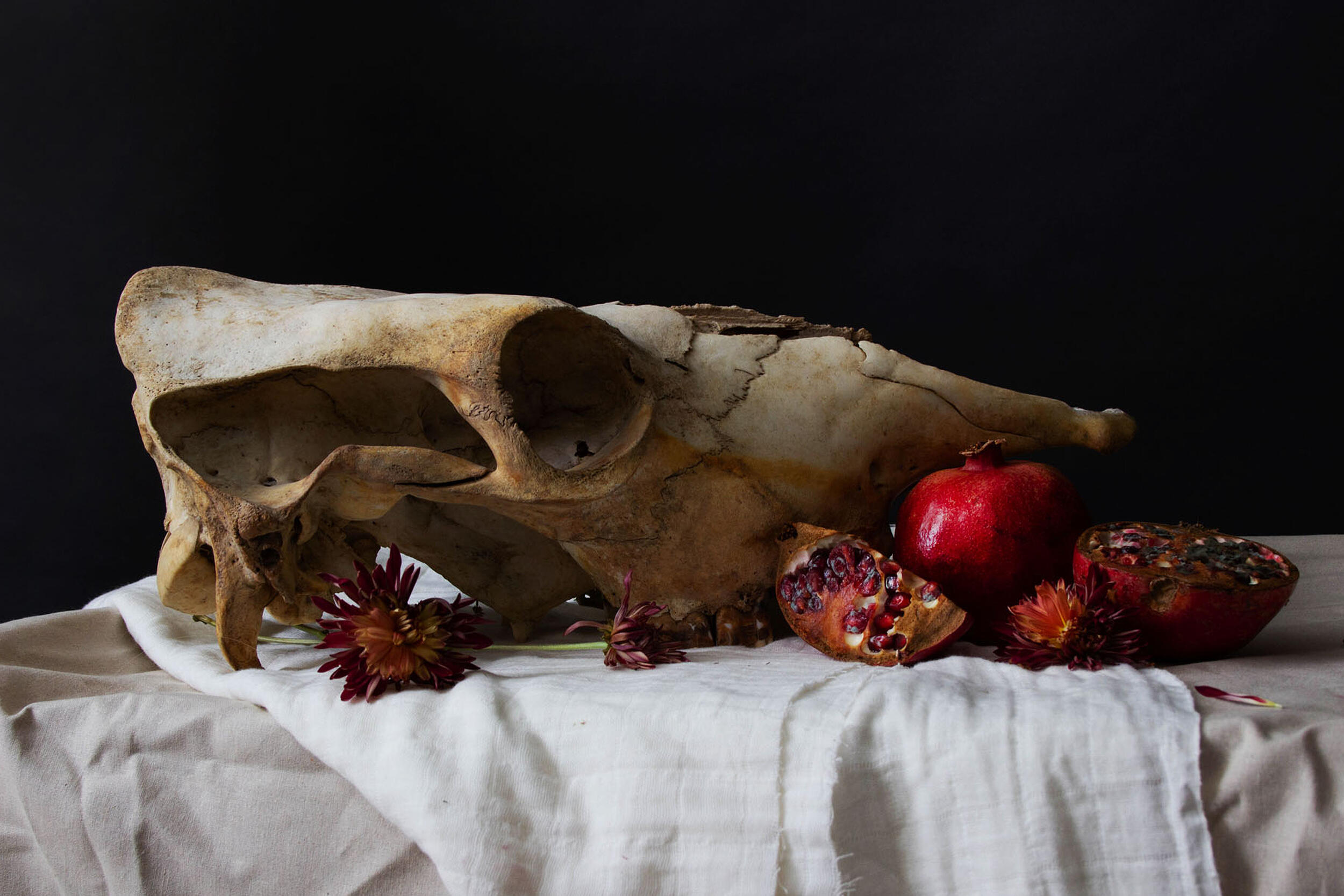 A photo of an animal skull on a white table with white and beige fabric. Next to the skull are pomegranates and a flower. 
