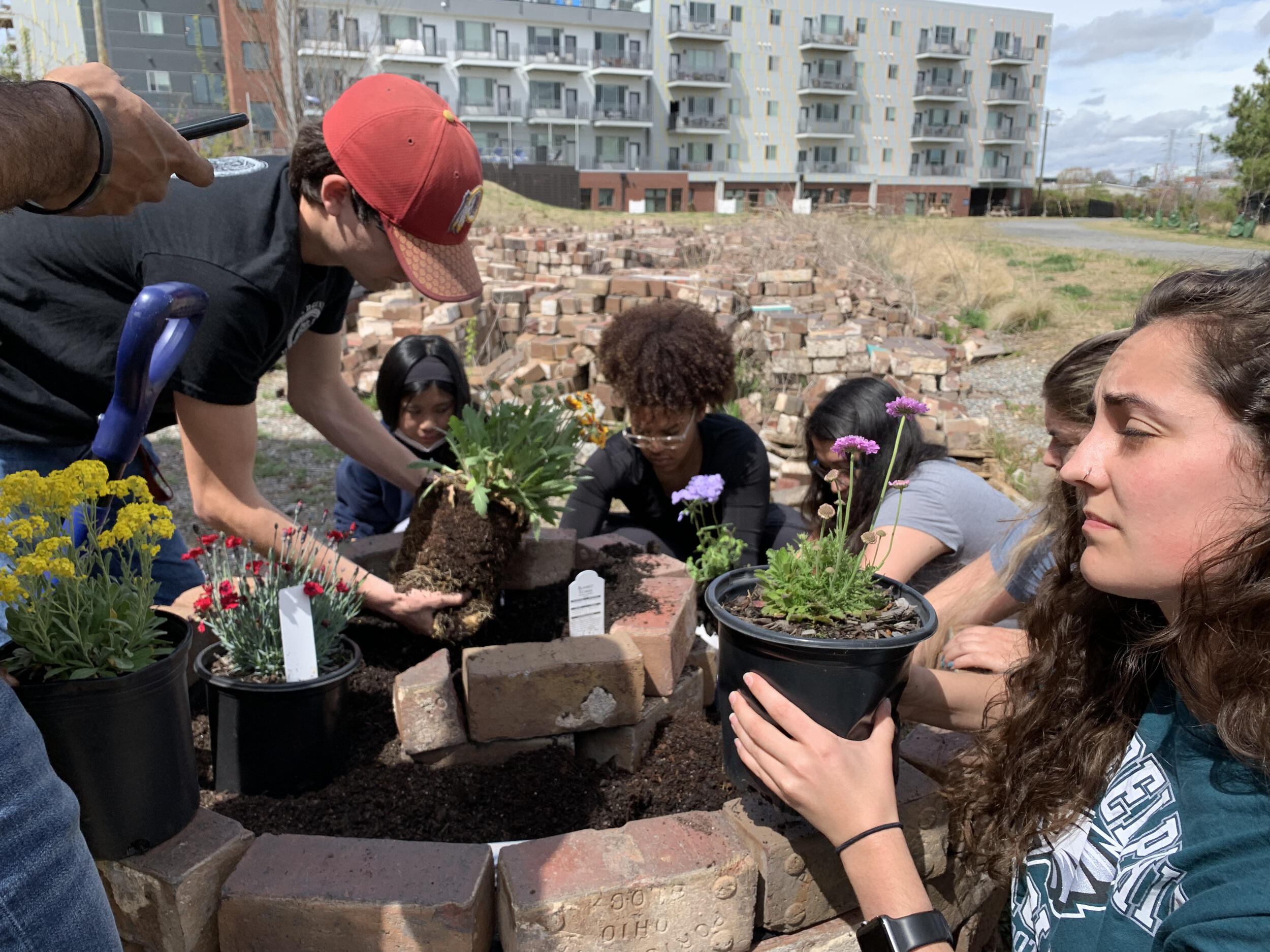 Students from Chris Gough and Stephen Fong's class add plants native to Virginia to their spiral garden