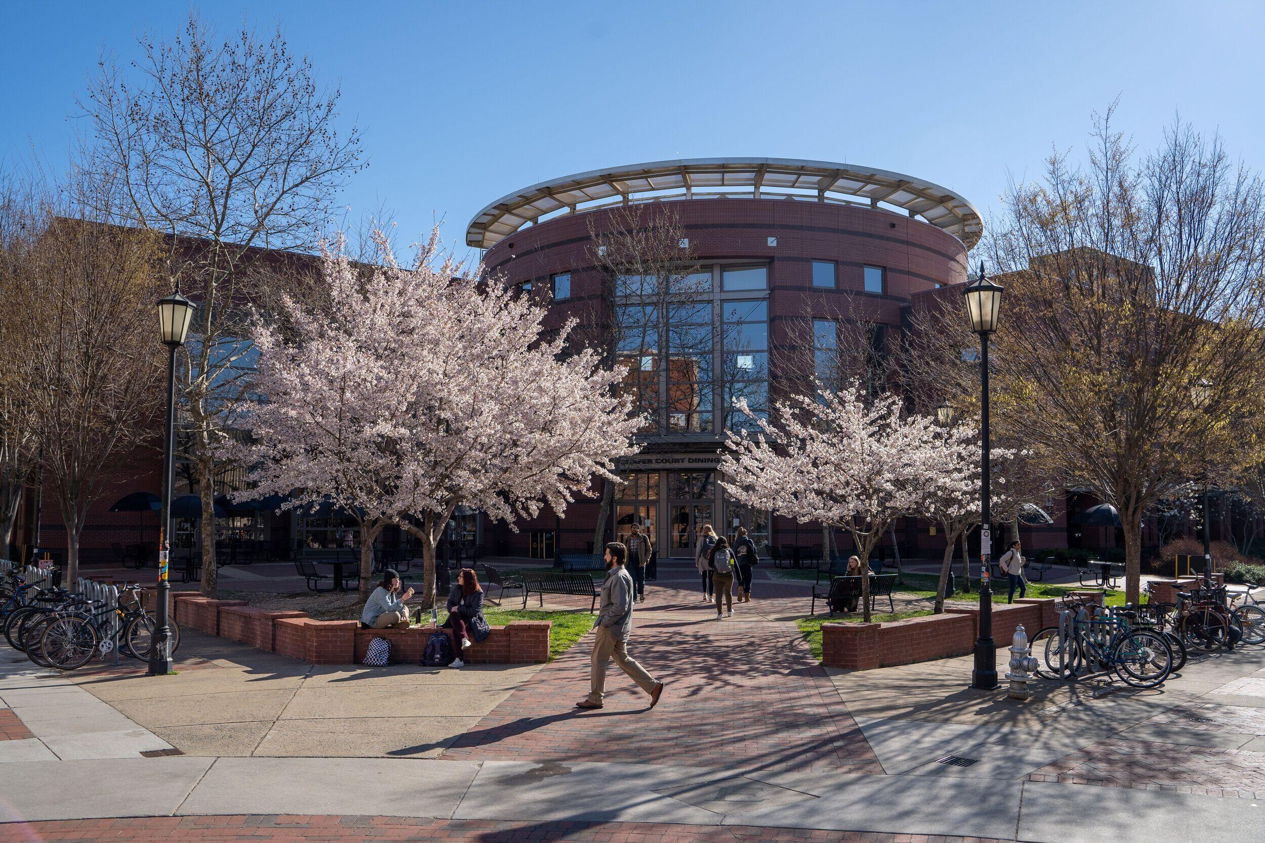 People walking and sitting on a college campus.
