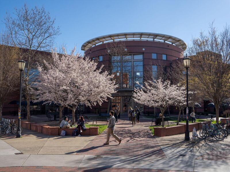 People walking and sitting on a college campus.