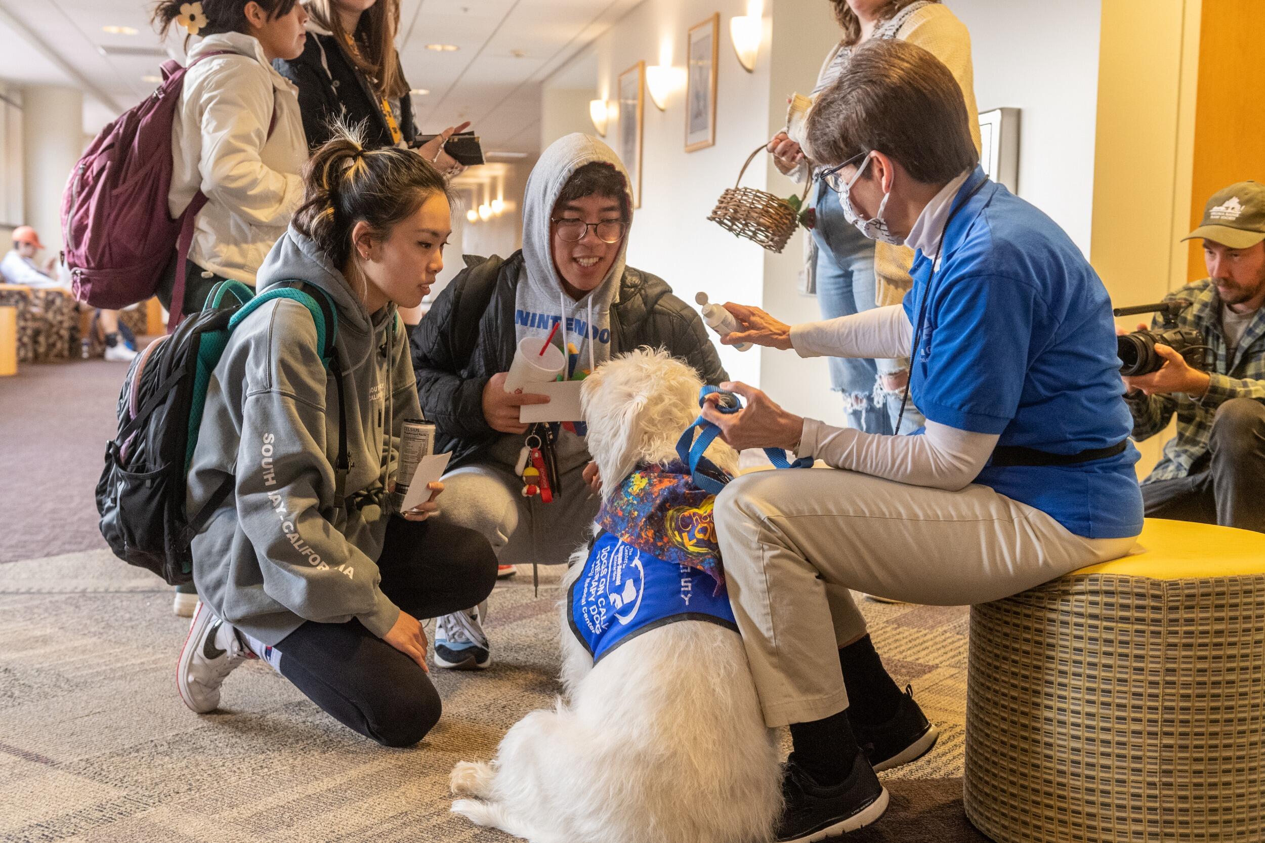 Students interacting with a therapy dog and its handler.