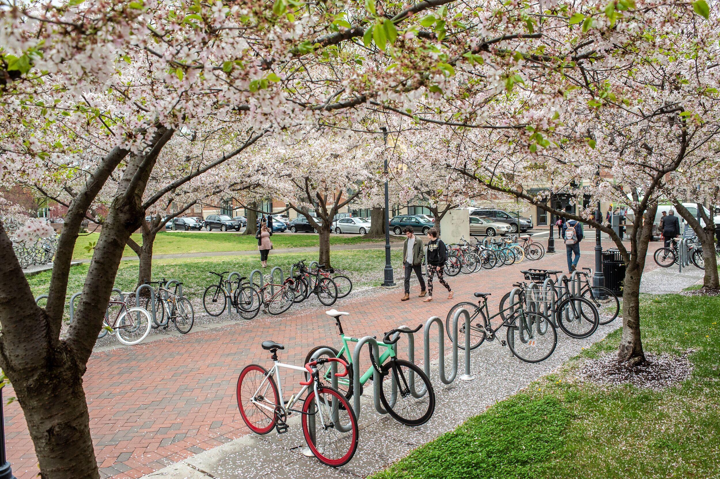 People walk down a brick walkway with bikes on racks on either side of them.