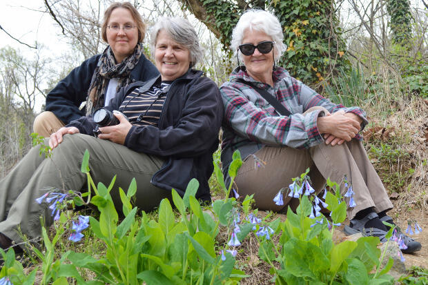 Judy Thomas, left; Janet Woody, center; Anne Wright, right, sit in front of Virginia Blue Bell wild flowers in the James River Park System. The women have partnered to create the Plants of the James River Project, an initiative to educate the public about plant species surrounding the James River. (Photo by Leah Small, University Public Affairs)