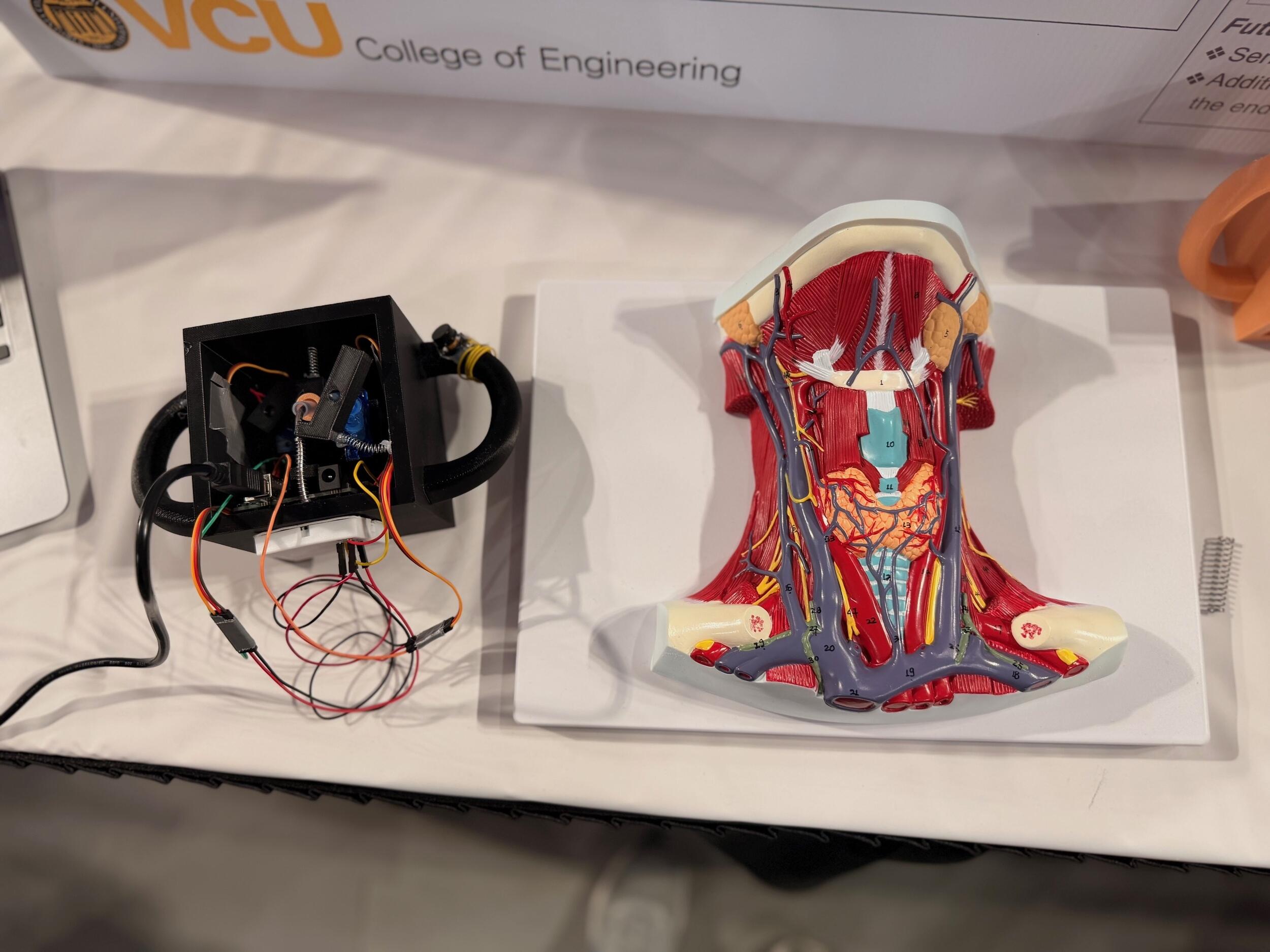 A photo of a black box with wires coming out of it next to an anatomy model of a human neck. 