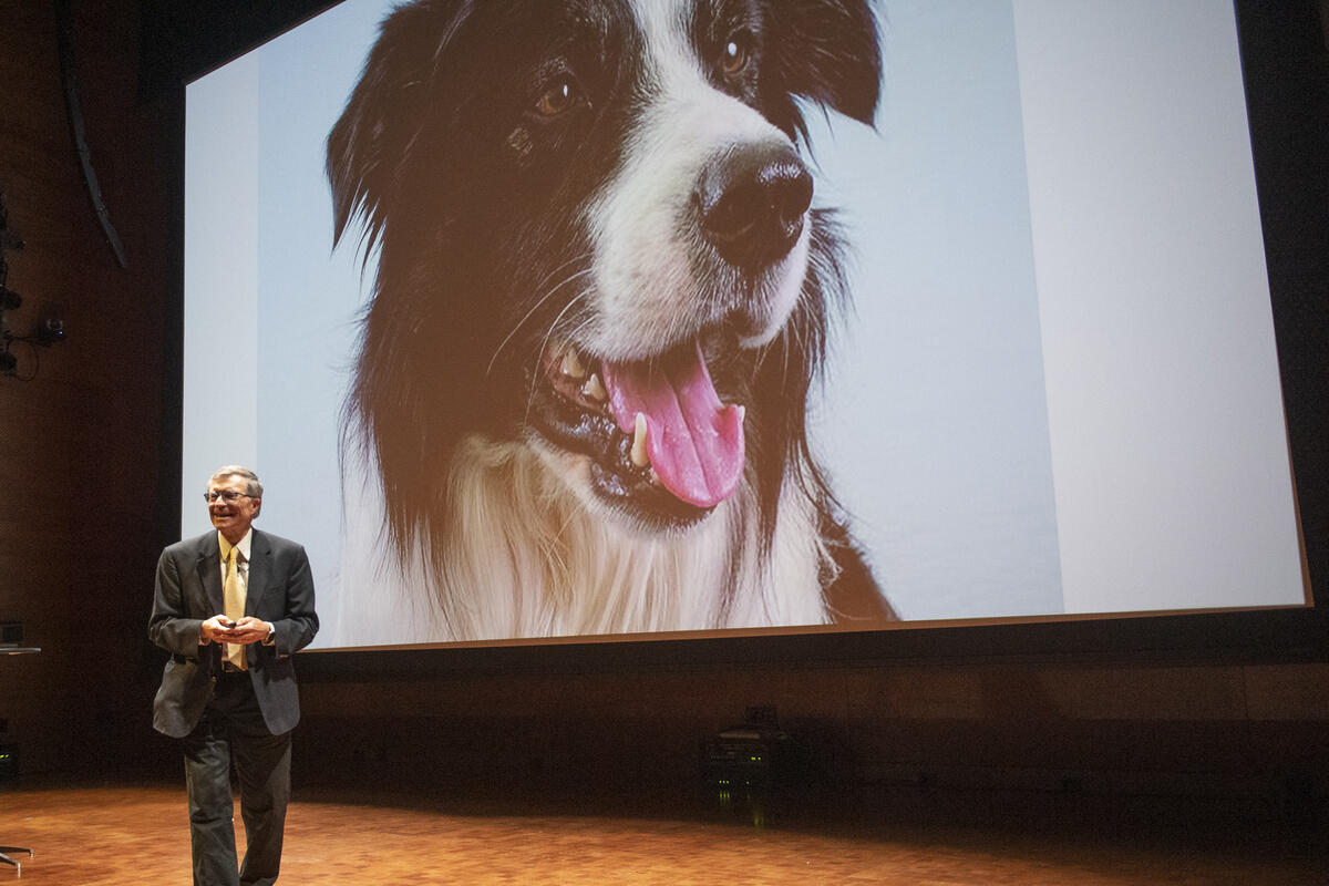 A man on a stage standing in front of a large screen. On the screen is a large image of a black and white dog. 