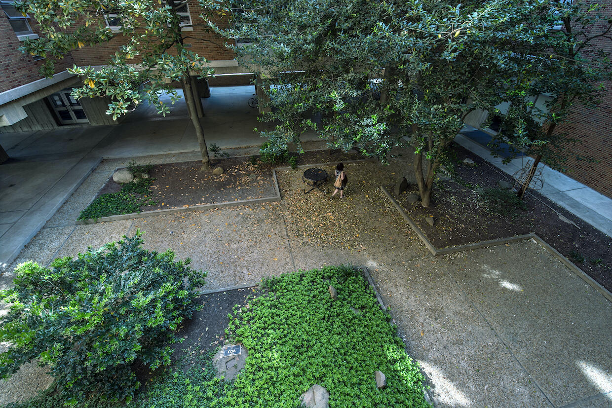 View from above the Pollak courtyard.