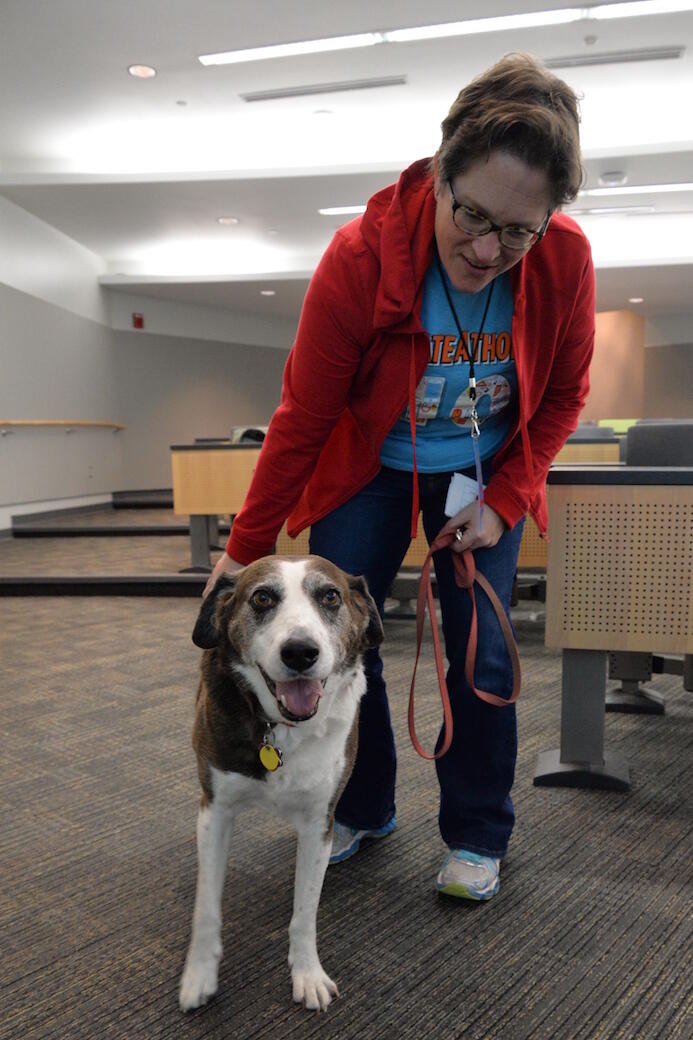Russell, the dog of Peyton Rowe, executive director of CreateAthon and an associate professor of design and creative advertising in the Robertson School, visited with teams of students throughout CreateAthon. (Photo by Brian McNeill)