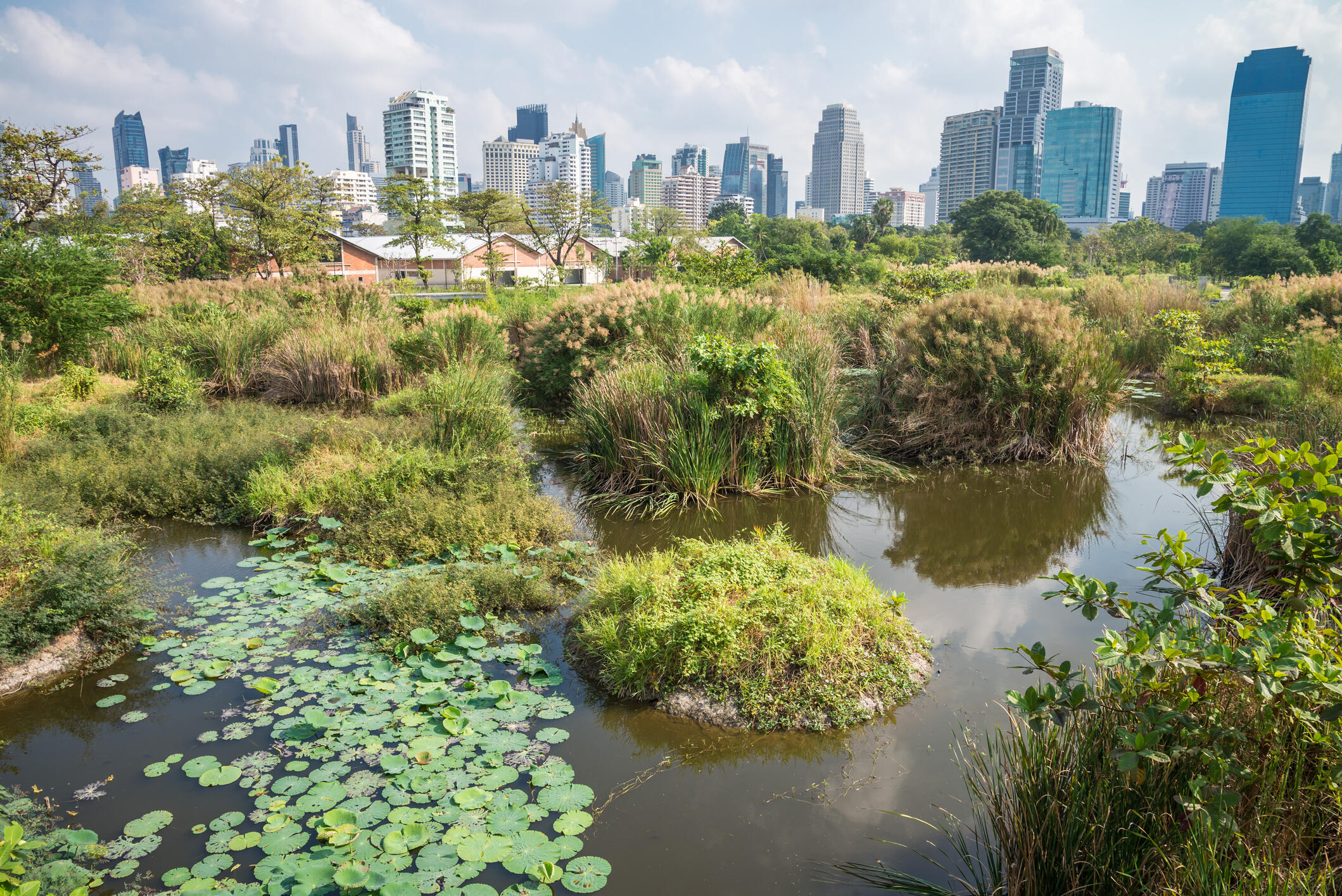 A green space is in the foreground, and a city skyline is in the background.
