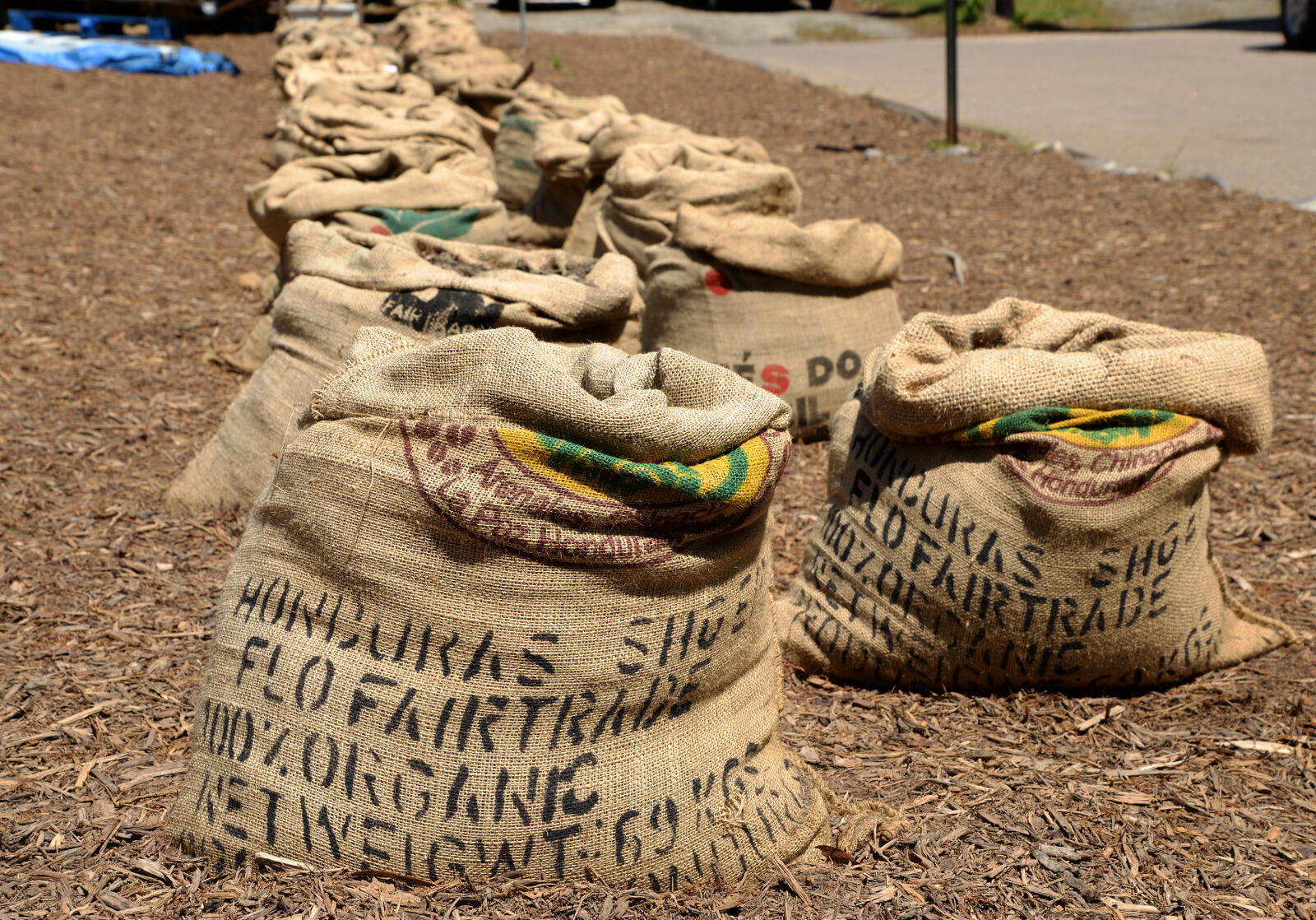 Recycled coffee bags have been pressed into use as containers to grow potatoes.