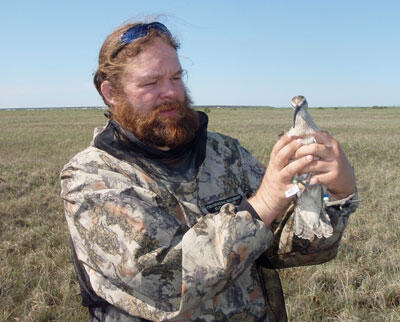 Fletcher Smith, a research biologist with the Center for Conservation Biology, during shorebird research in the Canadian Arctic.
