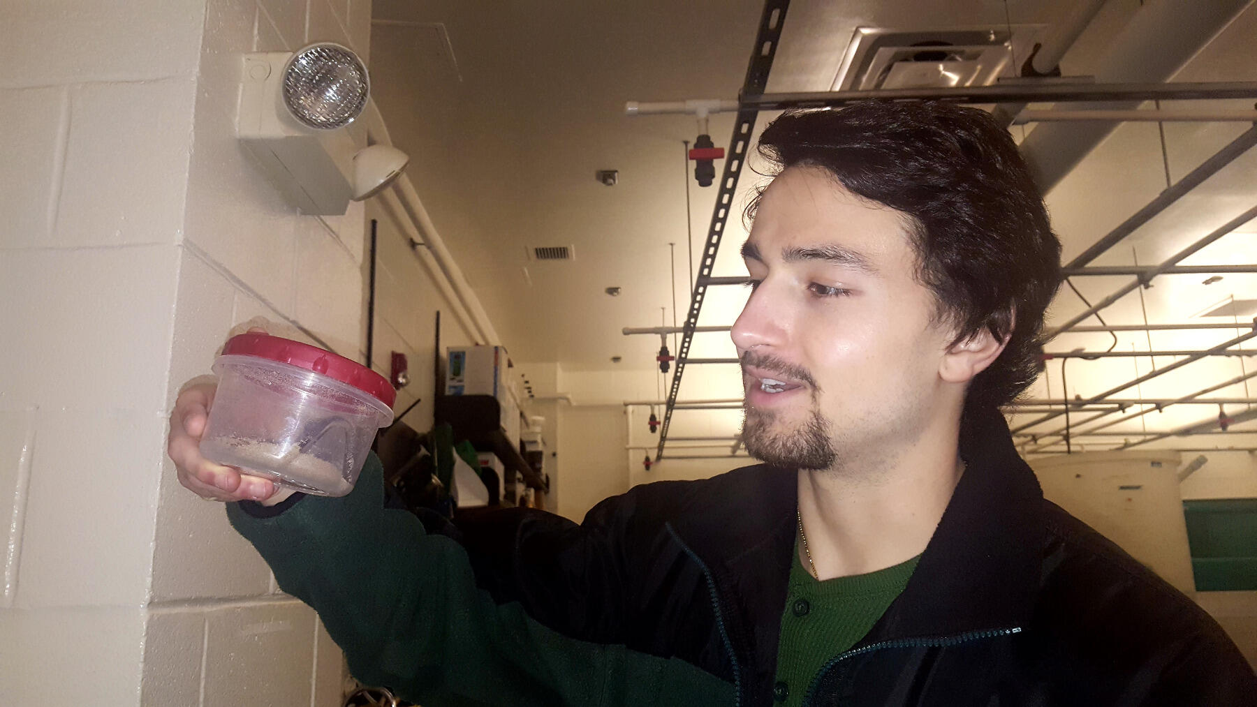Daniel Mohammadi holds holds a container of brine shrimp, the main diet of the zebrafish, in the Tombes Lab.
<br>Photo by Leah Small, University Public Affairs.