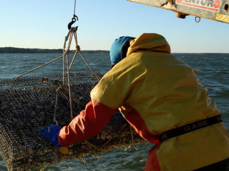 A still of an oyster harvester in the short documentary film “An Oyster’s-Eye View of the Virginia Oyster Shell Recycling Program" by Ronaldo Lopez.
Photo courtesy of Ronaldo Lopez