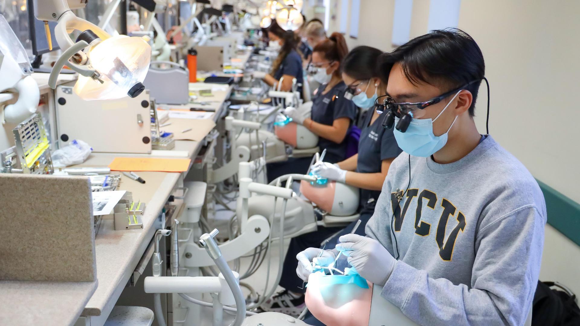 A photo of a row of dental students working on practice dummy heads