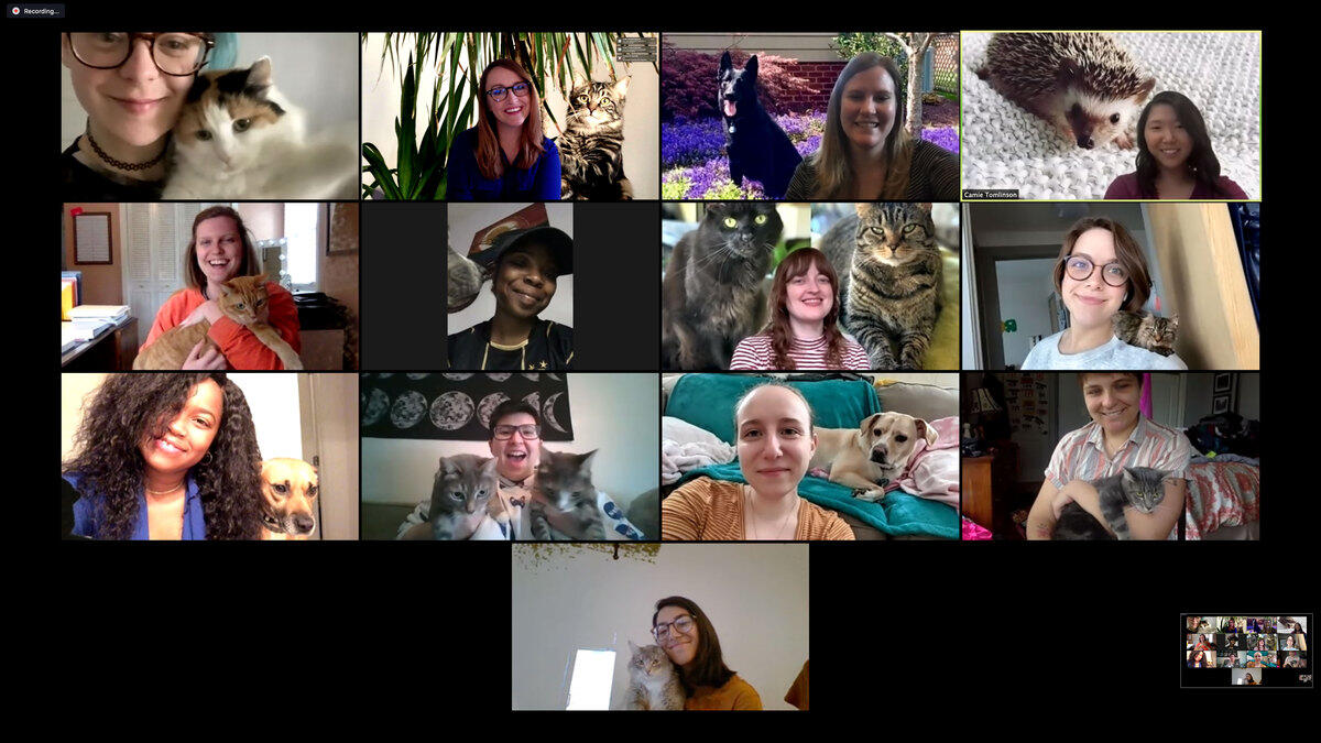 A group of video conference participants with their pets.