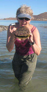 Photo courtesy Anne Wright