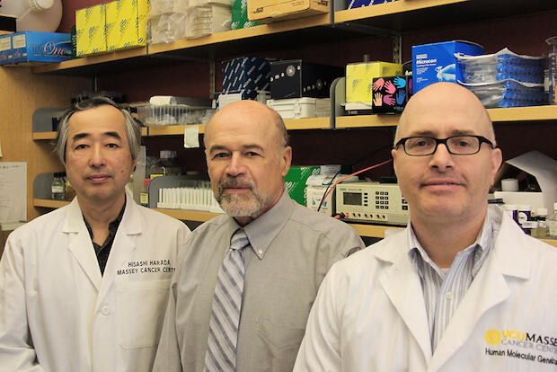 From left to right: Massey Cancer Center researchers Hisashi Harada, David Gewirtz and Joseph Landry