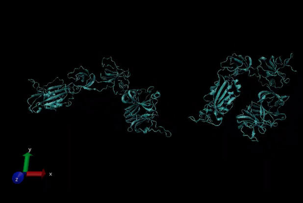 A 3D digital rendering of a virus's “spike” protein.